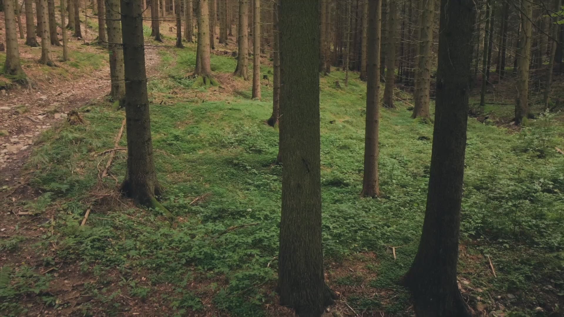 Video laden: 